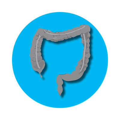Colorectal Cancer Icon