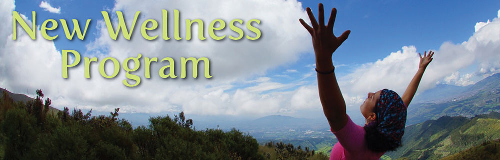 New Wellness Program Article Banner