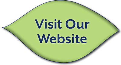 Visit Our Website Button