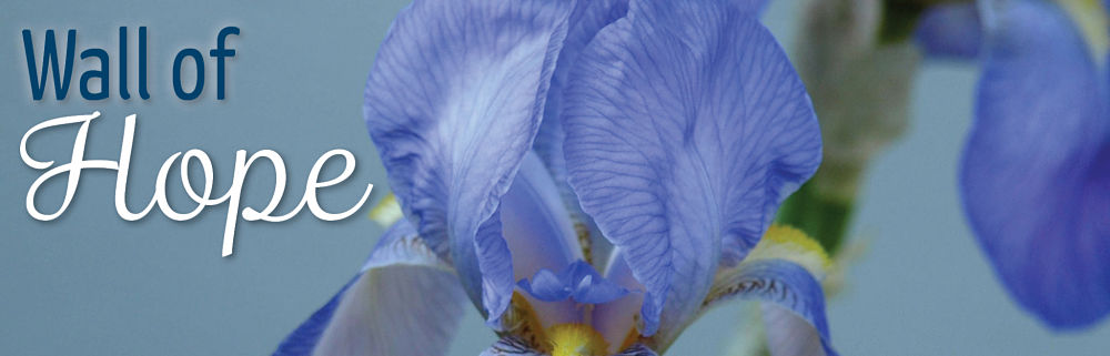 August 2016 Wall of Hope Banner